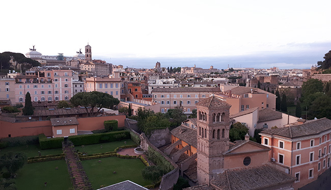 Terrazza Rhinoceros